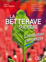 La betterave sucrière