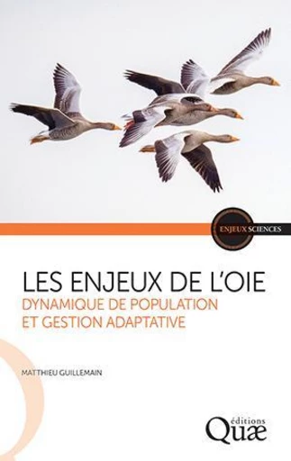 Les enjeux de l'oie - Matthieu Guillemain - Éditions Quae